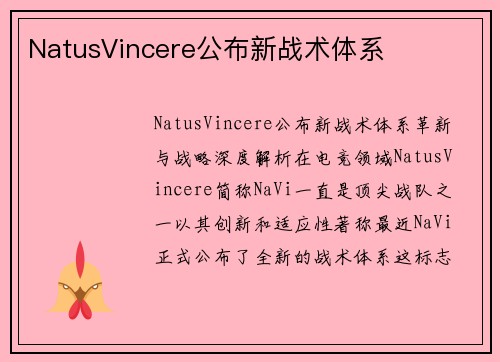 NatusVincere公布新战术体系